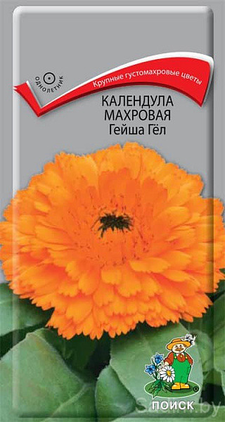 Календула Махровая Гейша Гел