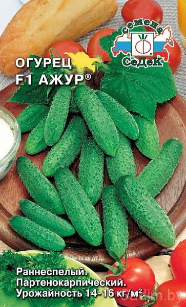Огурец Ажур F1