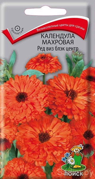 Календула Махровая Ред виз блэк центр