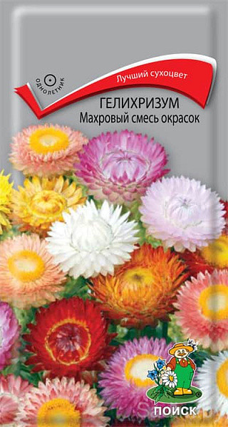 Гелихризум Махровый смесь окрасок