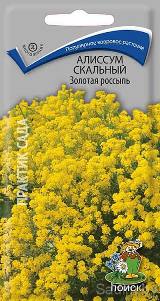 Алиссум Скальный Золотая россыпь