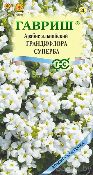 Арабис альпийский (резуха) Грандифлора Суперба
