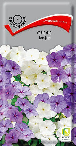 Флокс Босфор
