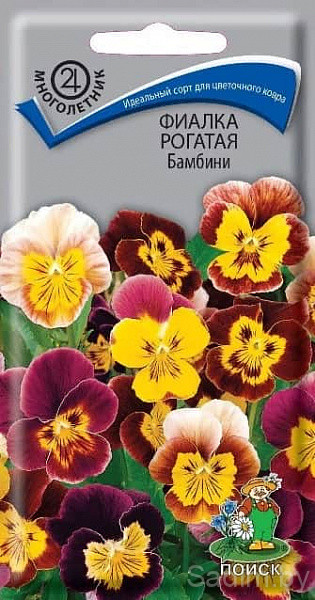 Фиалка Рогатая Бамбини