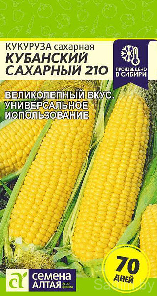 Кукуруза Кубанский Сахарный 210