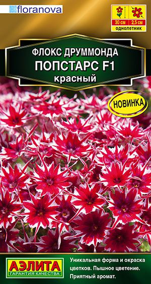 Флокс друммонда Попстарс красный F1