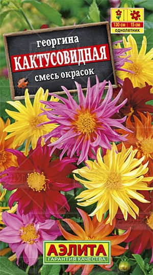 Георгина Кактусовидная (смесь окрасок)