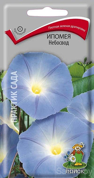 Ипомея Небосвод