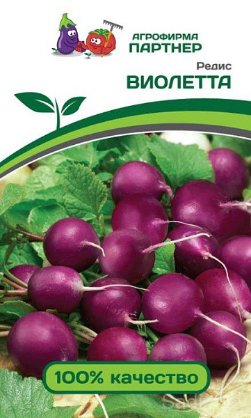 Редис Виолетта