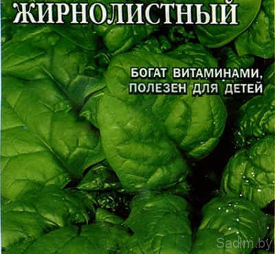 Шпинат Жирнолистный