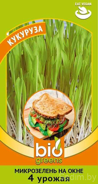 Микрозелень Кукуруза микс