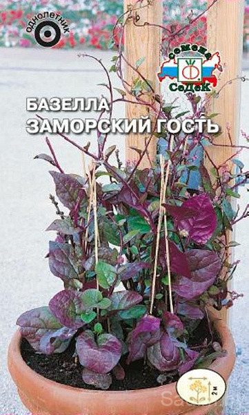 Базелла Заморский гость