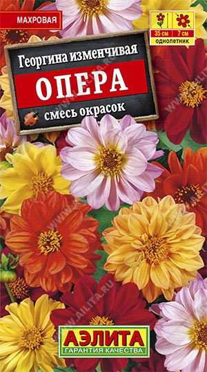 Георгина низкорослая Опера (смесь окрасок)