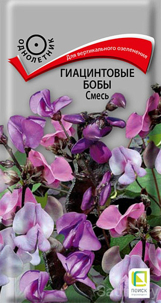 Гиацинтовые бобы смесь