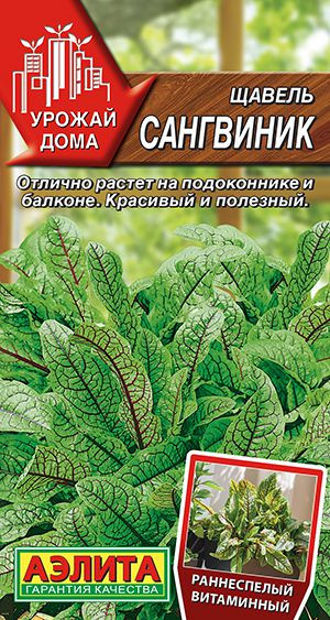 Щавель Сангвиник