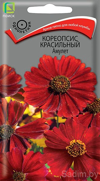 Кореопсис красильный Амулет