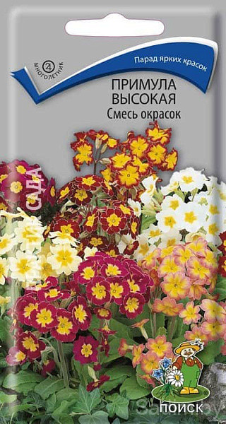 Примула высокая Смесь окрасок