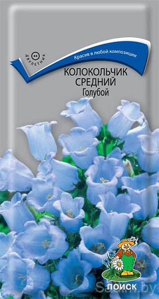 Колокольчик Средний Голубой