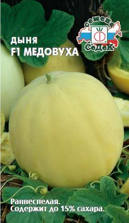 Дыня Медовуха F1