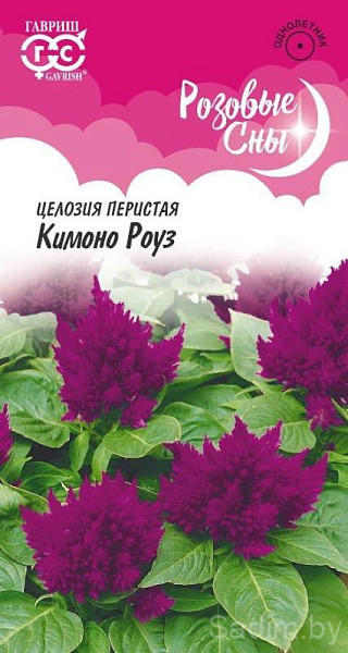 Целозия перистая Кимоно Роуз