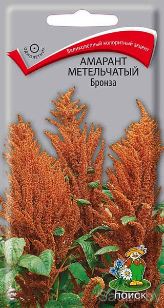 Амарант Метельчатый Бронза