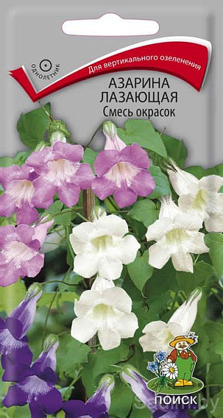 Азарина лазающая Смесь окрасок