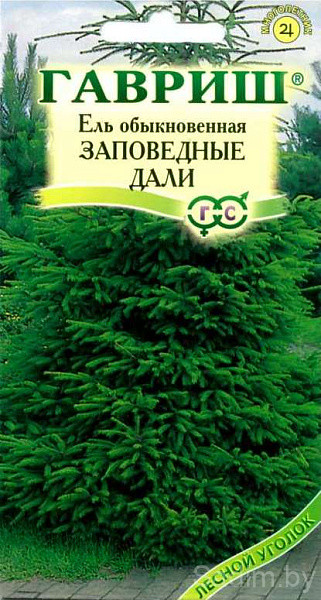 Ель обыкновенная Заповедные дали