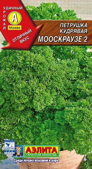 Петрушка кудрявая Мооскраузе 2