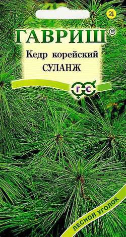 Кедр корейский Суланж