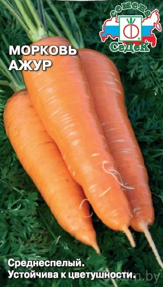 Морковь Ажур