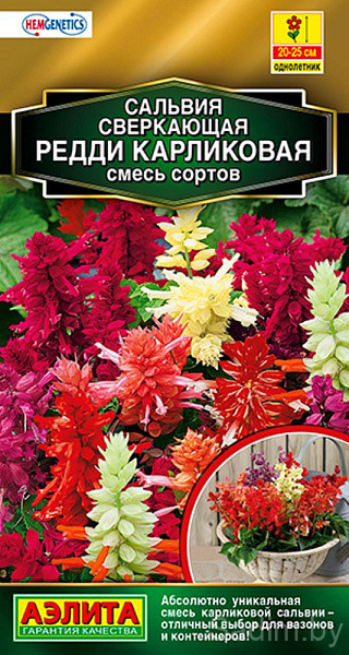 Сальвия Сверкающая Редди карликовая (смесь сортов)
