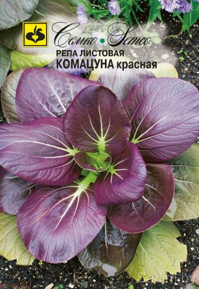Репа листовая Комацуна красная