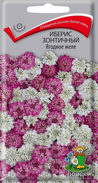 Иберис зонтичный Ягодное желе
