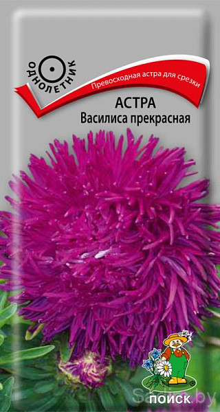 Астра Василиса Прекрасная