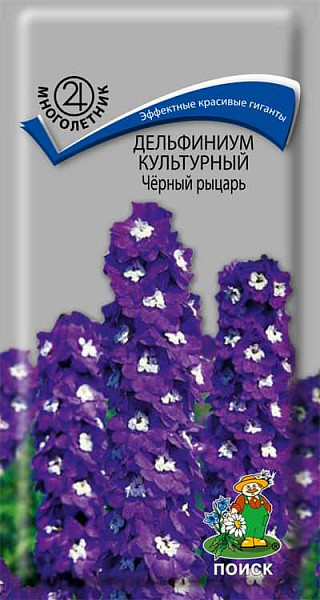 Дельфиниум культурный Черный рыцарь