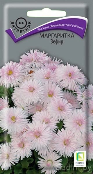 Маргаритка Зефир