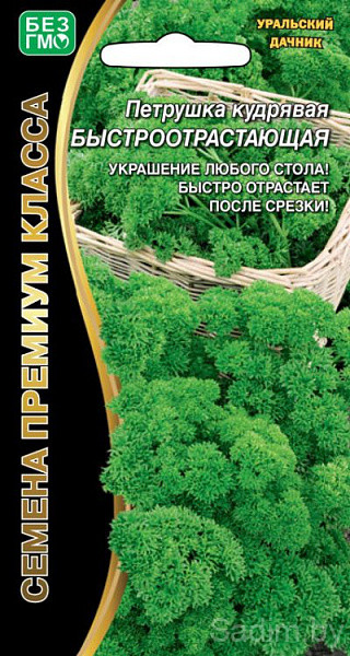 Петрушка кудрявая Быстроотрастающая